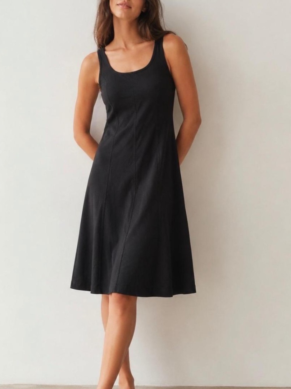 Everlane Luxe Cotton Seamed Tank Dress